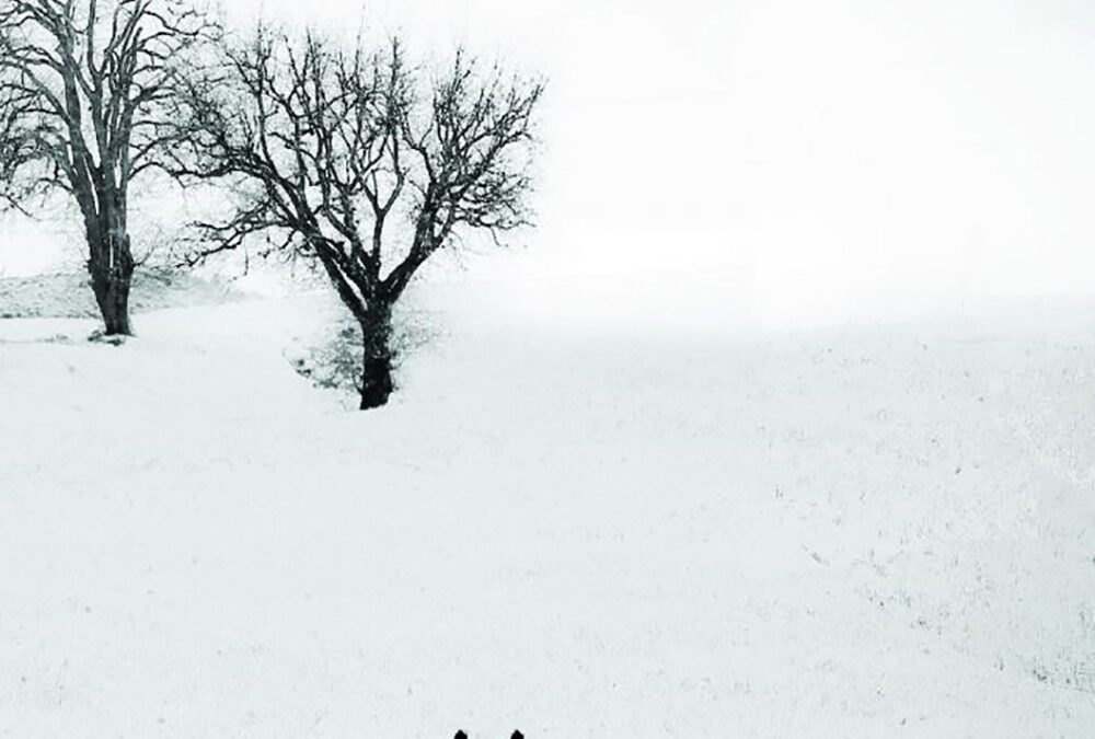 Copertina CD "Tratturo Zero"